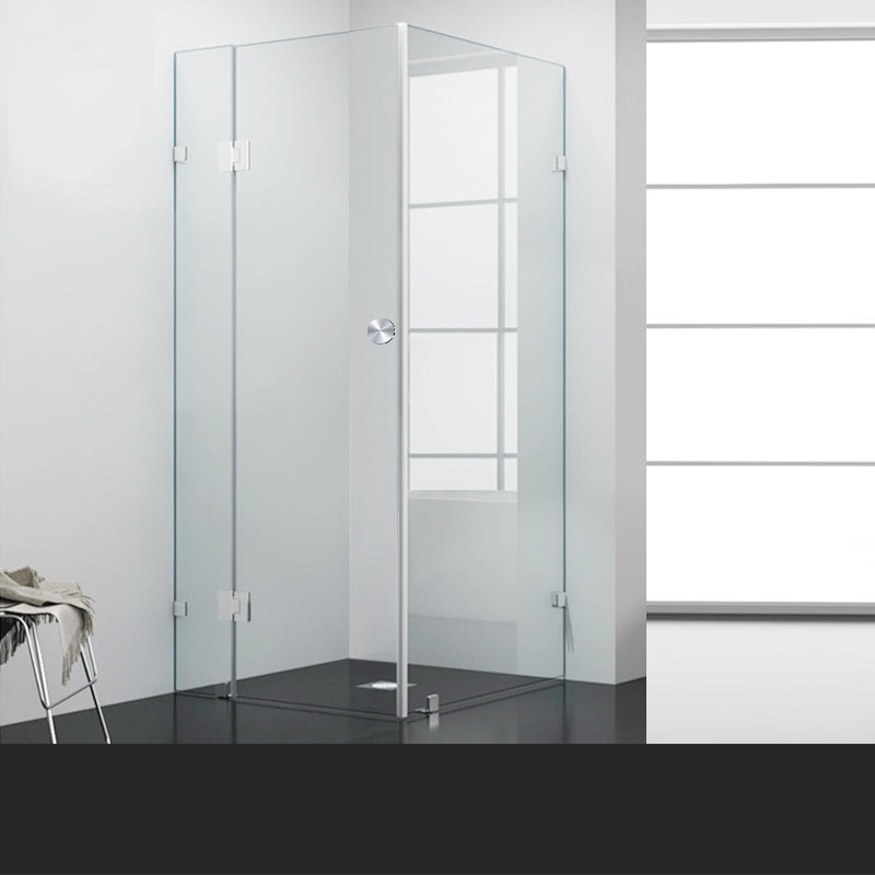 Frameless Shower Screen 1000 x 1000 x 2000mm